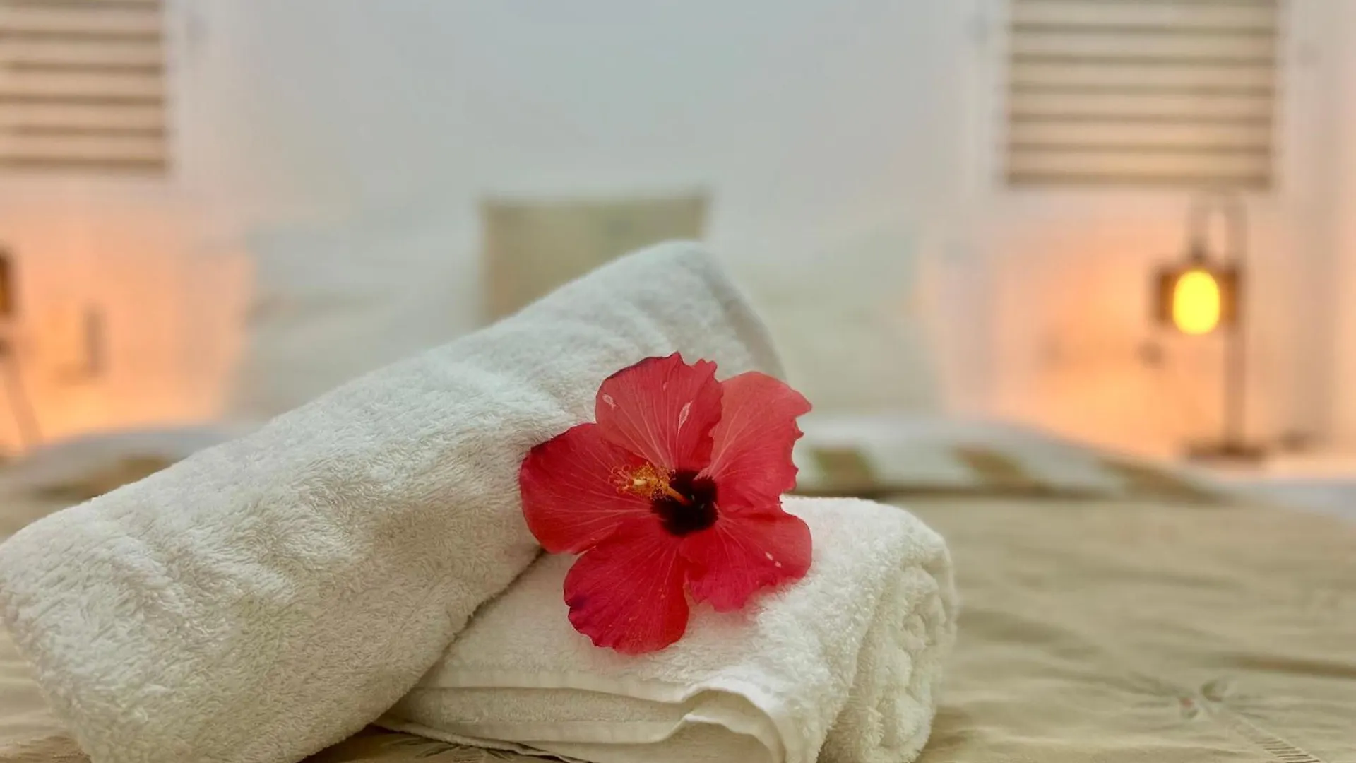 Tropical House With Bungalow And Pool Near Playa Poppy Las Terrenas Dominik Cumhuriyeti